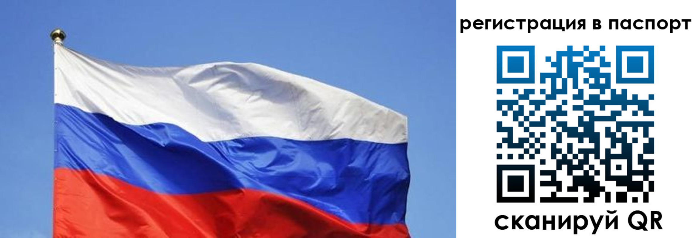 прописка в квартире в Архангельске